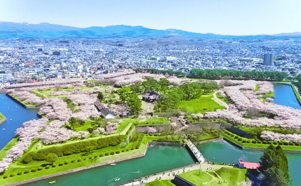 函館市から移住もOKな介護の求人|有限会社ひまわり